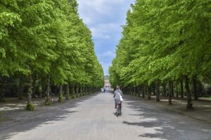 自転車道